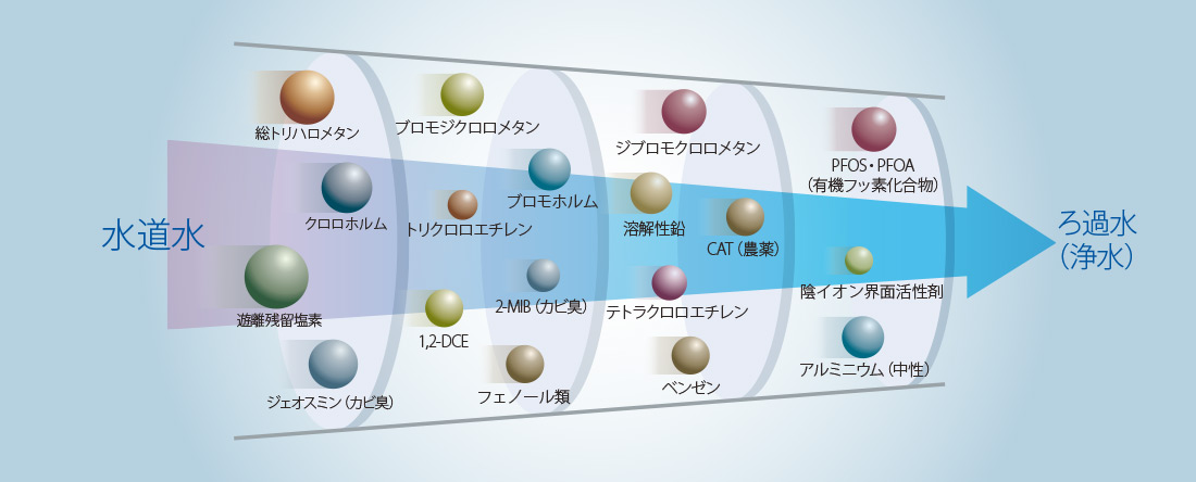 アノア除去項目数